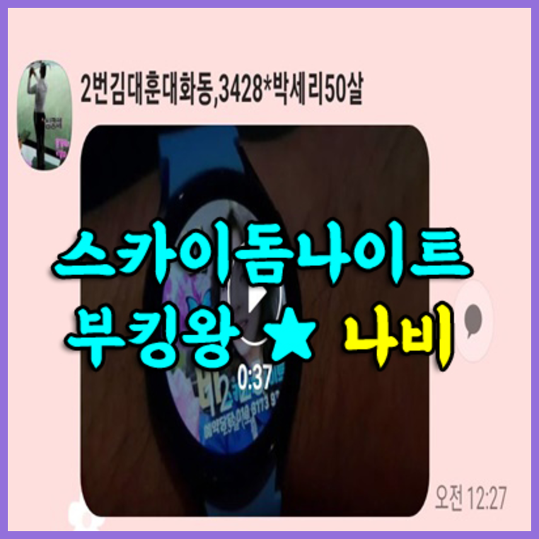 야당스카이돔나이트