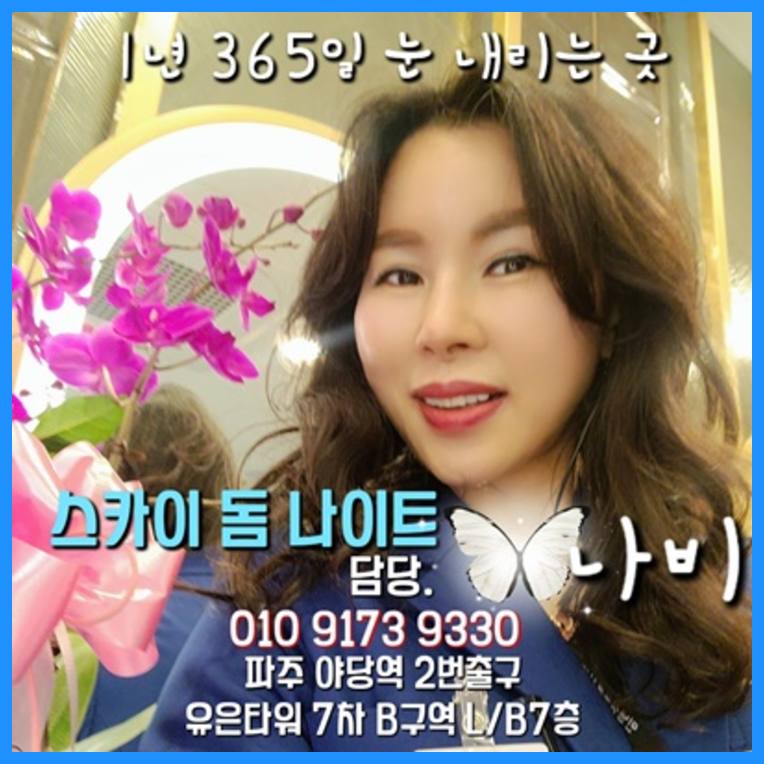 야당스카이돔나이트